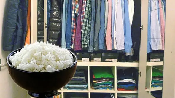 کاربردهای مختلف برنج 