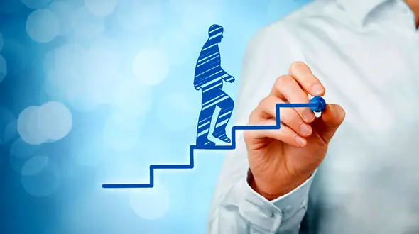 دیسیپلین چیست؟ / ویژگی های دیسیپلین + جداول جامع