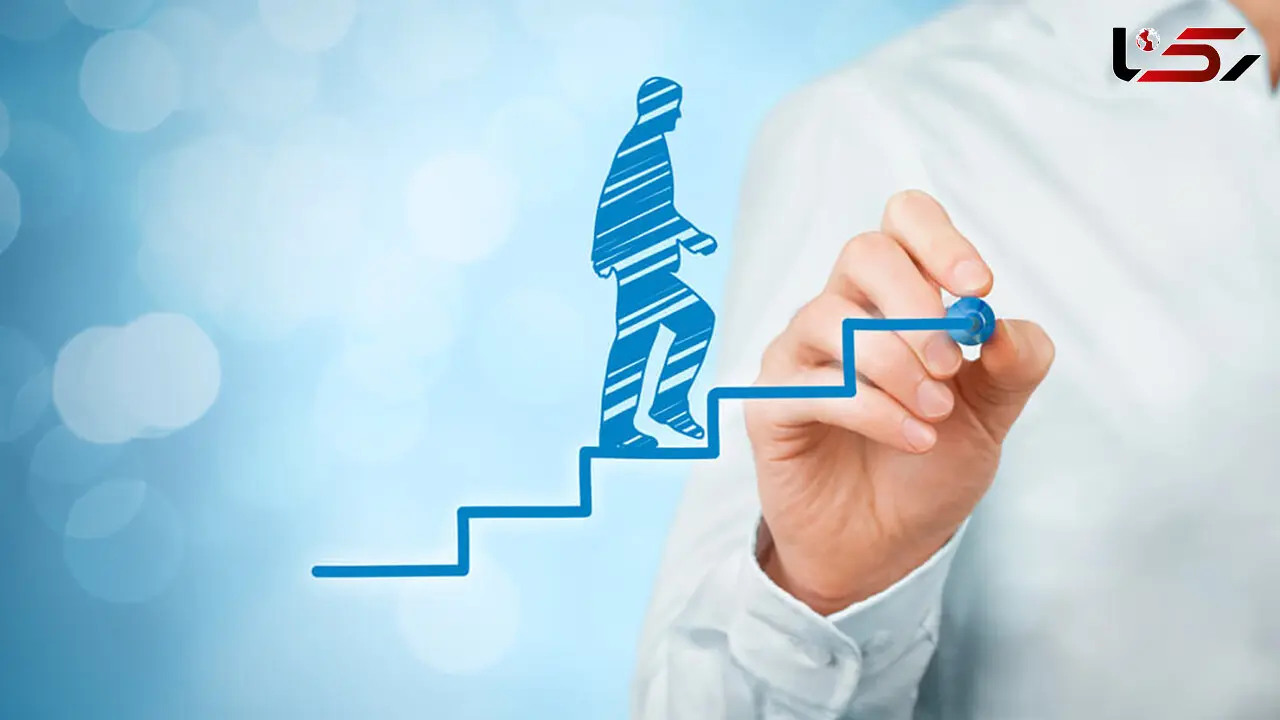 دیسیپلین چیست؟ / ویژگی های دیسیپلین + جداول جامع