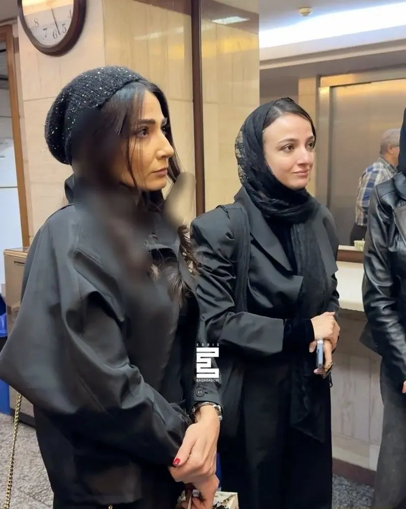 سمیرا حسن پور