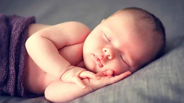 عفونت  از مدفوع گربه، مرگ نوزاد را رقم زد