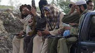 طالبان پاکستانی خواستار عبور امن به افغانستان شدند