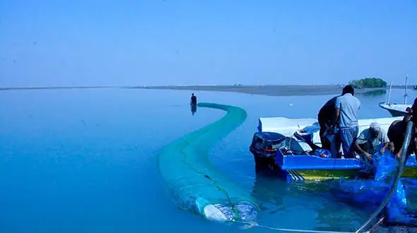 کشف کارگاه تولید مشک های ماری ویژه حمل و دپو سوخت قاچاق در بندرعباس