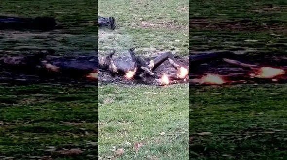 عکس عجیب از جسد سوخته ای وسط پارک + فیلم