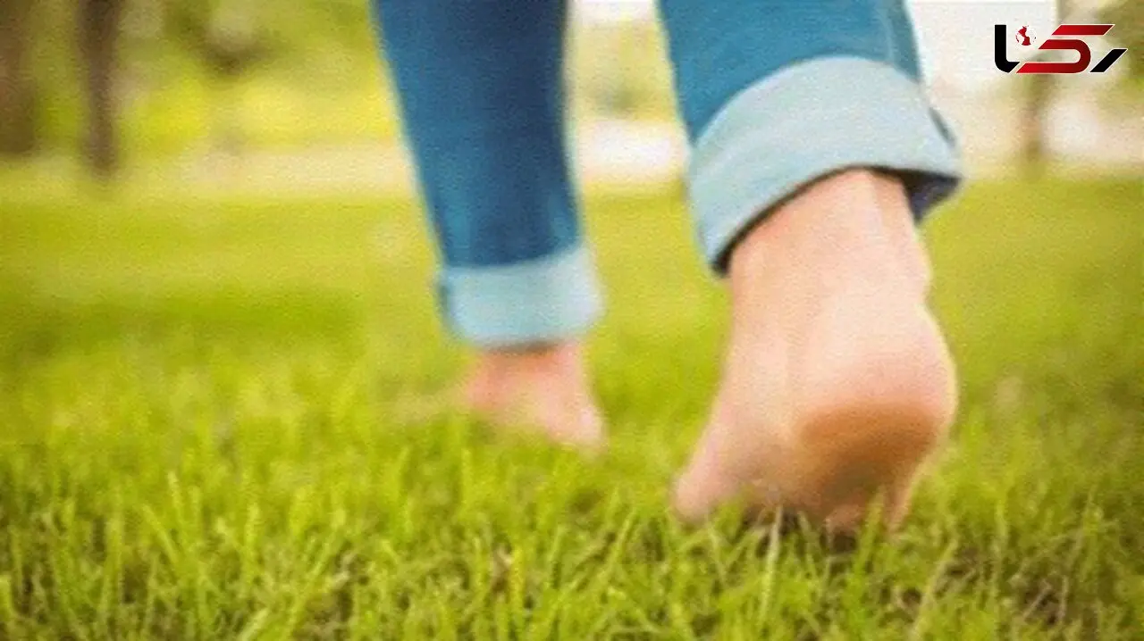 با همین میزان پیاده روی متحول شوید: کاهش وزن، تنظیم قند خون و تقویت استخوان‌ ها