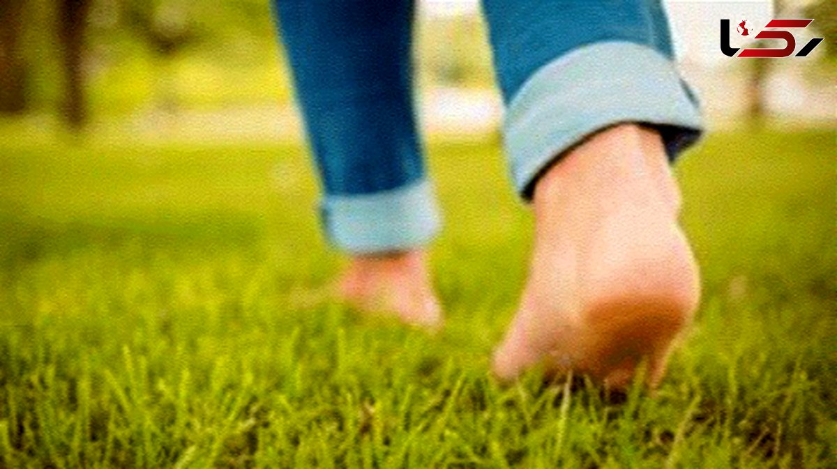 با همین میزان پیاده روی متحول شوید: کاهش وزن، تنظیم قند خون و تقویت استخوان ها