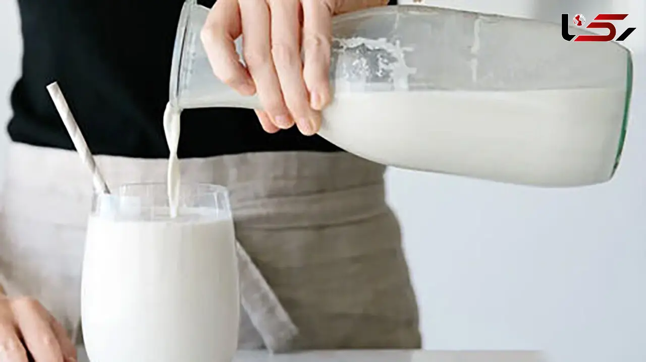 پژوهش جدید پاسخ داد؛ شیر گاو یا شیرهای گیاهی، کدام بهتر است؟