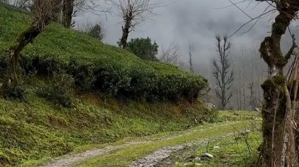 دو مکان به یاد ماندنی دژ اسد خان و روستای شولم گیلان