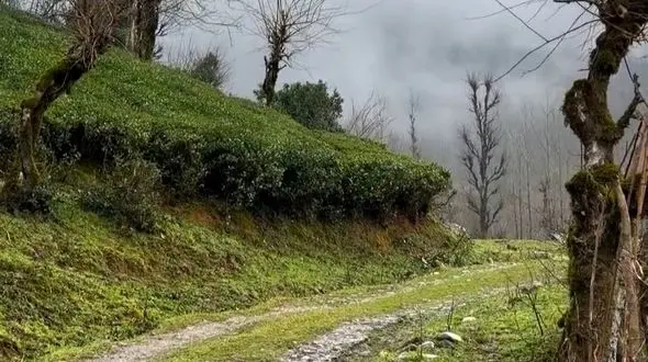 دو مکان به یاد ماندنی دژ اسد خان و روستای شولم گیلان
