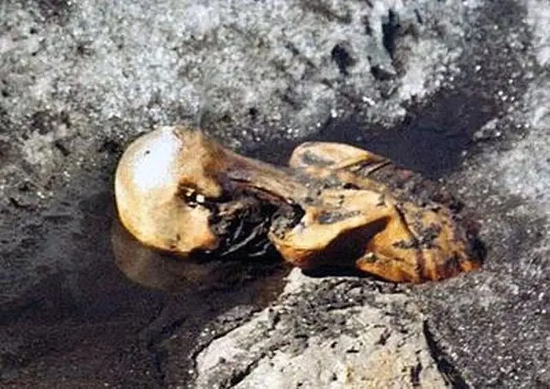 کشف نشانه‌هایی از حیات در مرد یخی