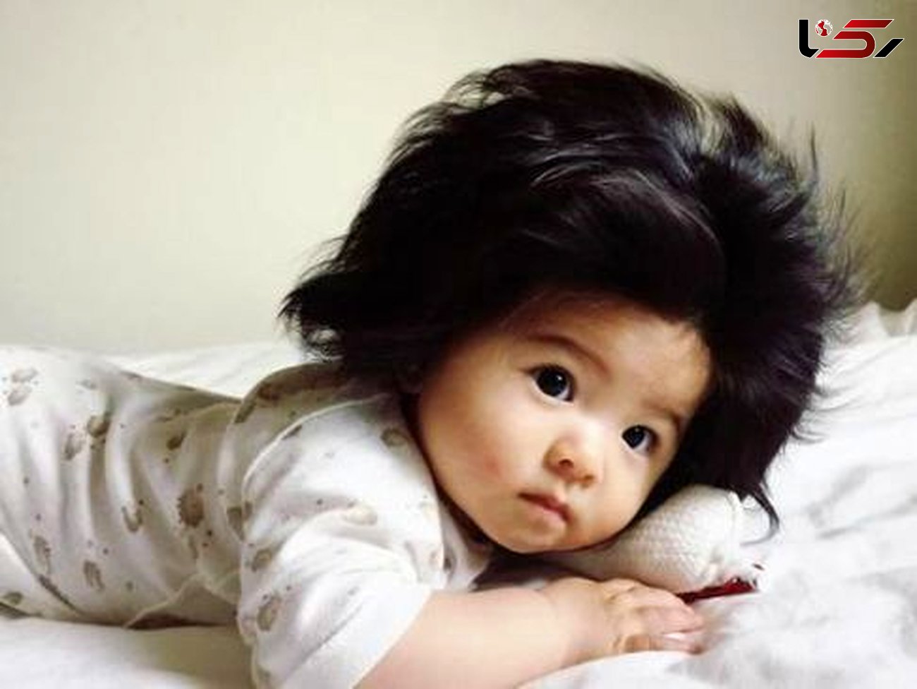شهرت دختر بچه ژاپنی در فضای مجازی به خاطر موهایش+عکس