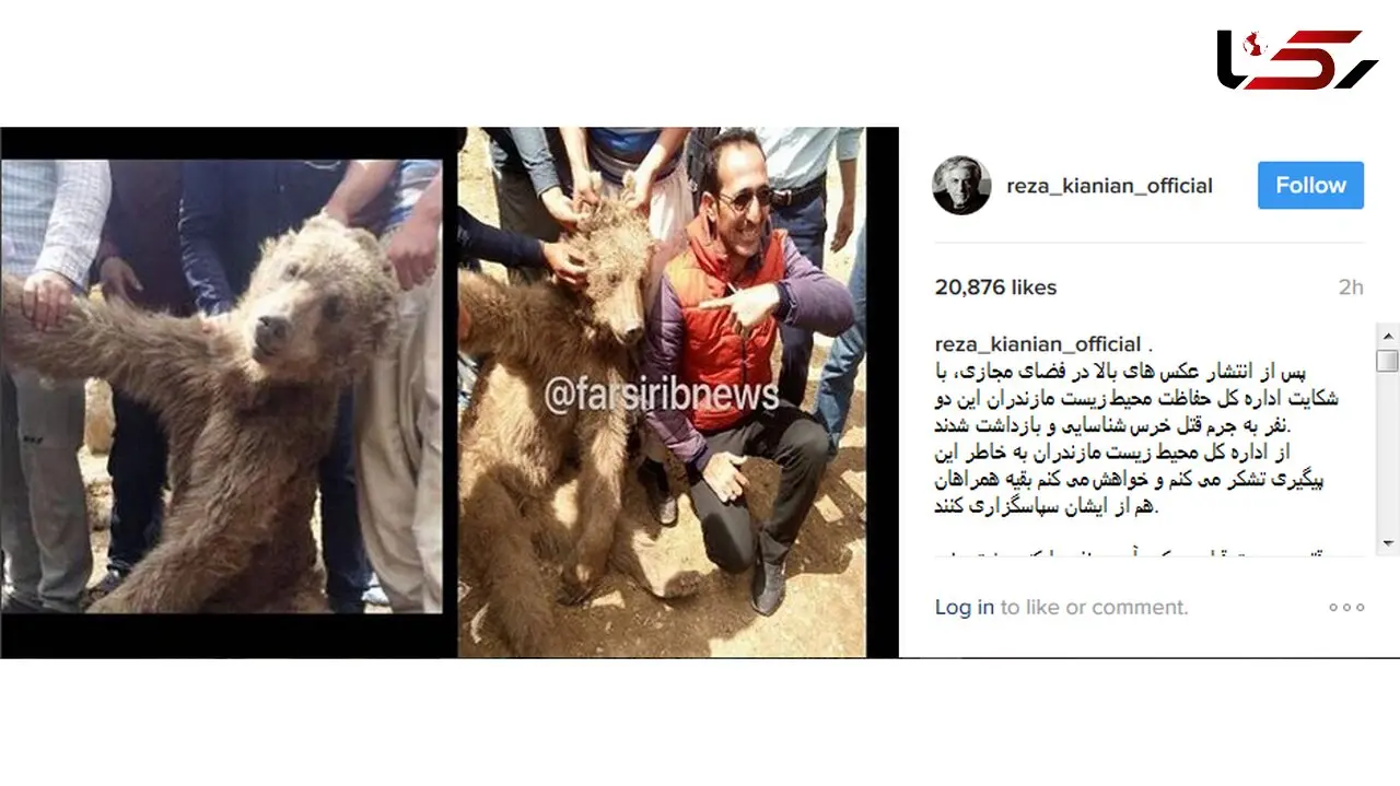 بازیگر معروف قاتلان یک خرس در جنگل مازندران را معرفی کرد + عکس