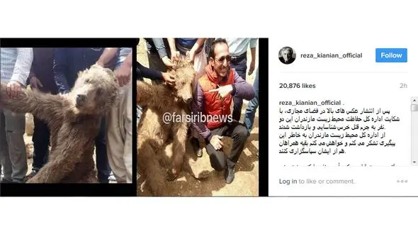 بازیگر معروف قاتلان یک خرس در جنگل مازندران را معرفی کرد + عکس