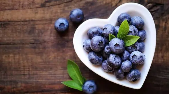 بلوبری چیست؟ + جدول ارزش غذایی و سلامت
