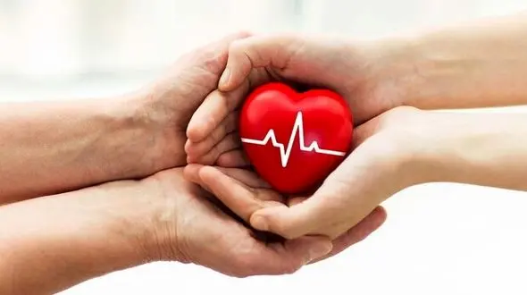 سعید یوسفی در مشهد فرشته نجات شد / همه برای او گریستند