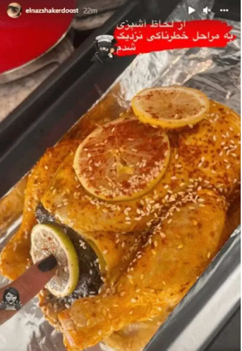 الناز شاکردوست