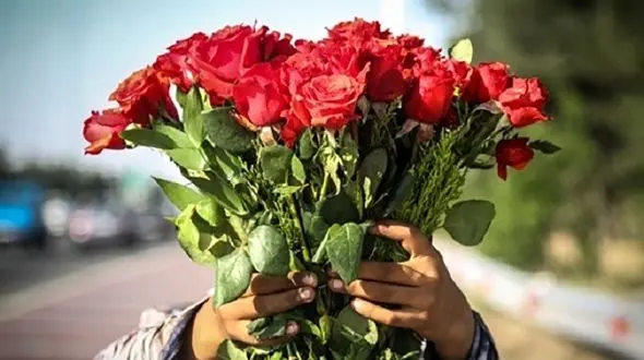 نوگل ِگل فروش