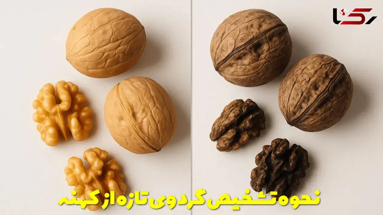 از کجا بفهمیم گردو تازه است یا کهنه؟ رازهایی که فروشنده‌ها نمی‌ گویند
