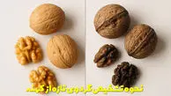 از کجا بفهمیم گردو تازه است یا کهنه؟ رازهایی که فروشنده‌ها نمی‌ گویند