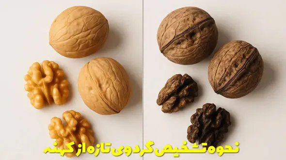 از کجا بفهمیم گردو تازه است یا کهنه؟ رازهایی که فروشنده‌ها نمی‌ گویند