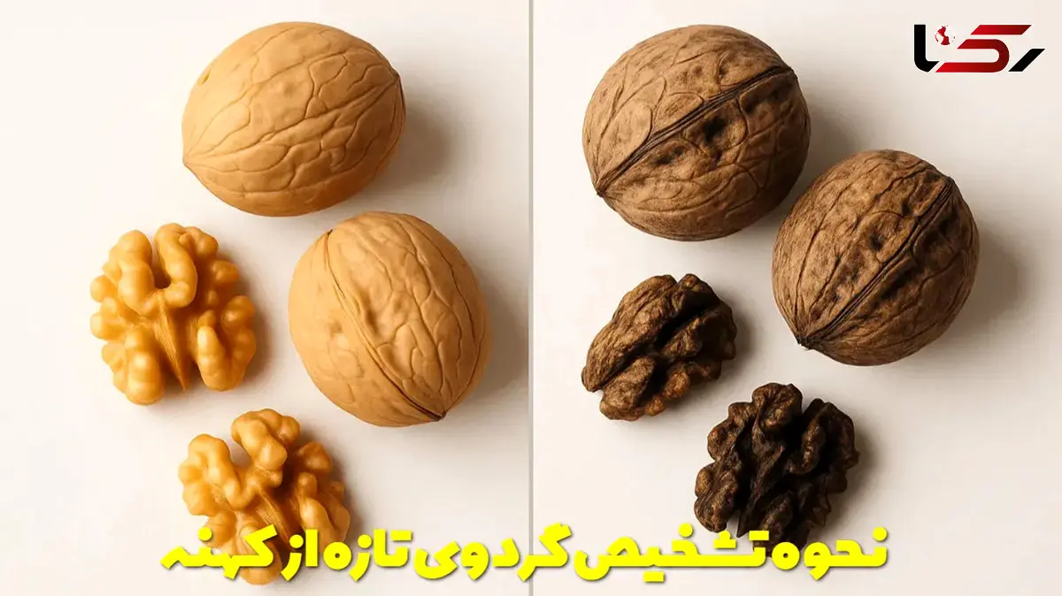 از کجا بفهمیم گردو تازه است یا کهنه؟ رازهایی که فروشنده‌ها نمی‌ گویند