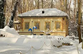 اولین برف زمستانی امسال را در کاخ سعدآباد ببینید / فیلم