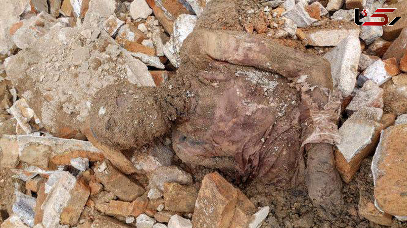 بیانیه انجمن باستان‌شناسی ایران در ارتباط با جسد مومیایی رضا شاه