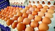 بارگیری محموله صادراتی تخم مرغ برای افغانستان