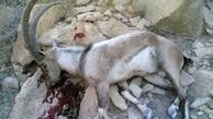 دستگیری شکارچیان حیات وحش در منطقه حفاظت شده خائیز