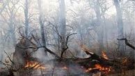 خسارت مالی و علت آتش سوزی ارتفاعات پارسیان در دست بررسی است