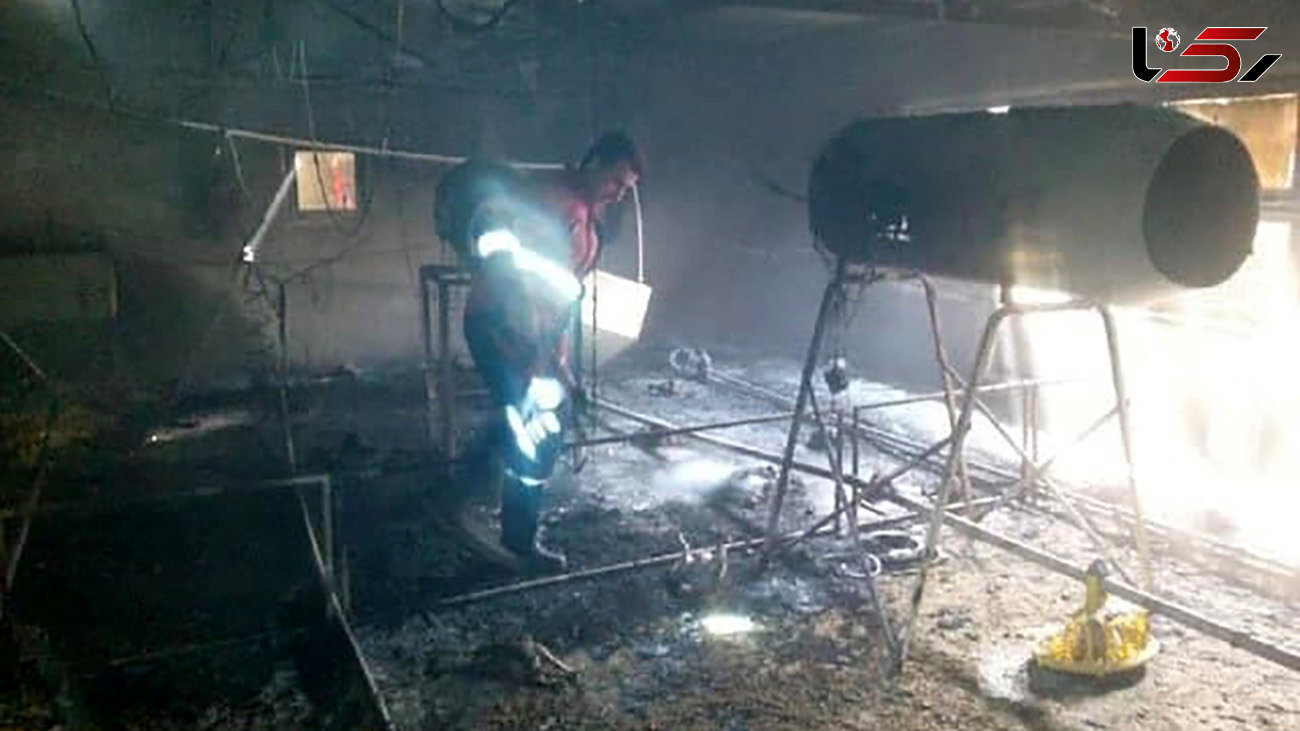 آتش سوزی در مرغداری پلدشت 1500 مرغ را خفه کرد