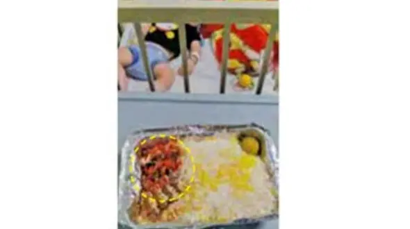 پیدا شدن سوسک و تخم سوسک در غذای بیمار بستری در یکی از بیمارستان‌های شمال تهران + عکس