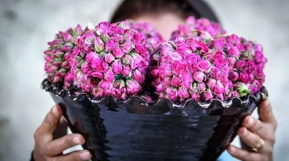 درمان افسردگی با بوییدن یک گل