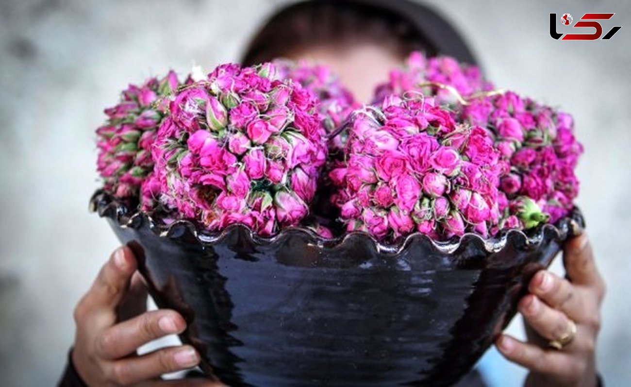 درمان افسردگی با بوییدن یک گل