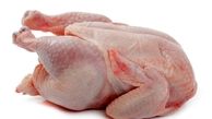 نرخ ۱۳ هزار تومانی مرغ زنده غیرمنطقی است / قیمت هر کیلو مرغ ۲۳ هزار تومان