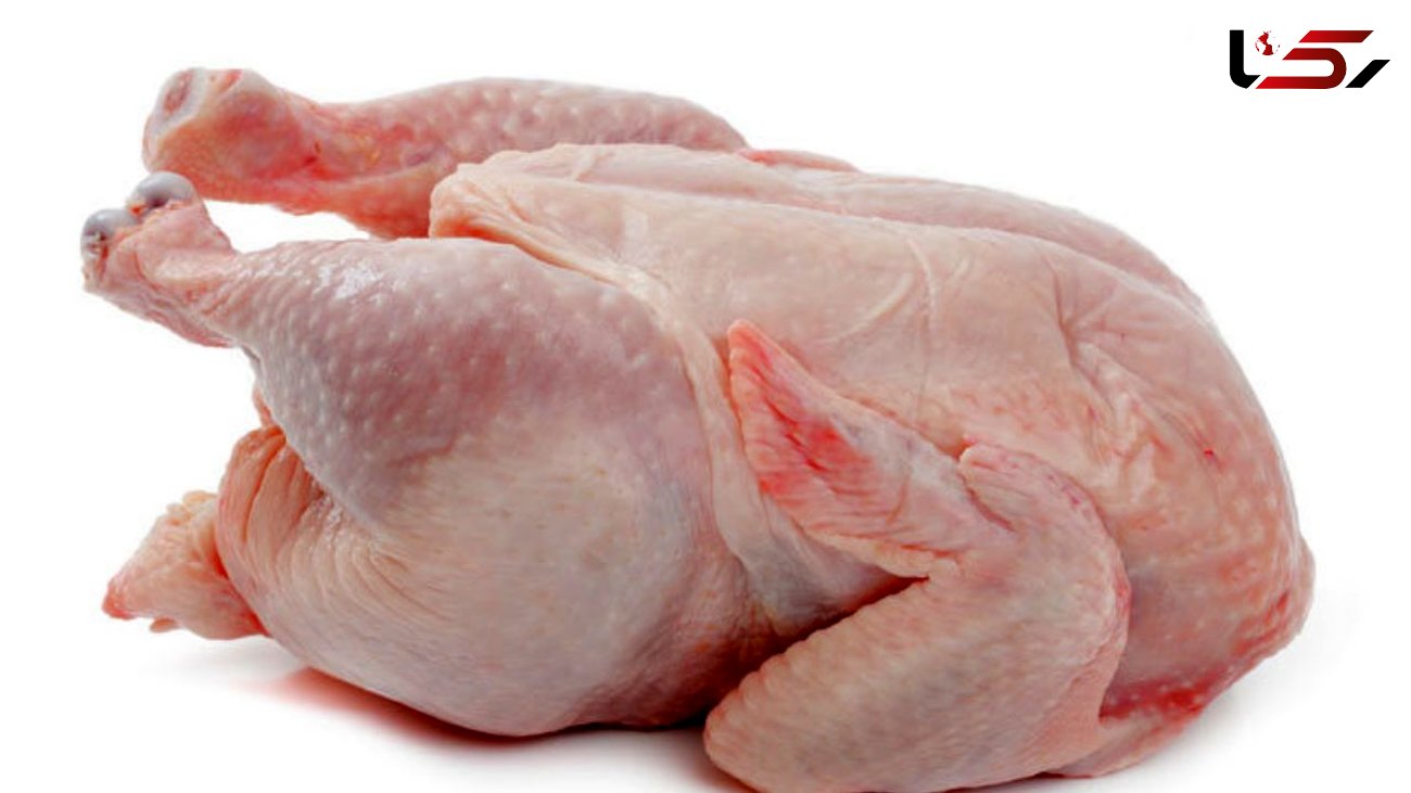 نرخ ۱۳ هزار تومانی مرغ زنده غیرمنطقی است / قیمت هر کیلو مرغ ۲۳ هزار تومان