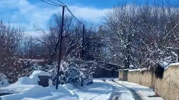 بارش برف زمستانی فشند را سفید پوش کرد