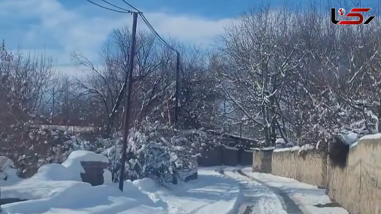 بارش برف زمستانی فشند را سفید پوش کرد