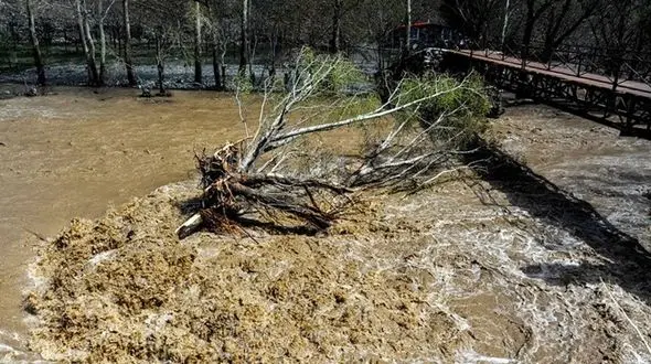 2 نفر در طغیان رودخانه « دیرعلی» سلماس مصدوم شدند/ آغاز تخلیه آب روستاهای درگیر سیل