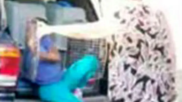 نگهداری نوه ها در قفس سگ + عکس