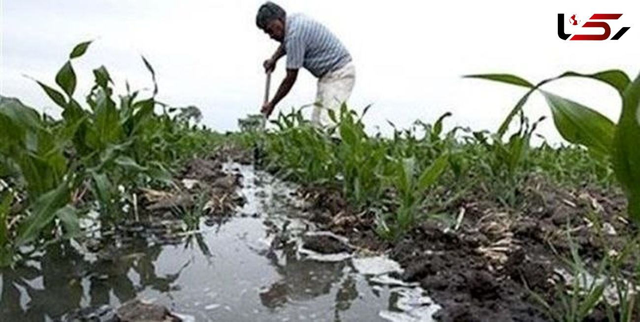 ممنوعیت استفاده ازآبهای نامتعارف برای آبیاری محصولات کشاورزی 
