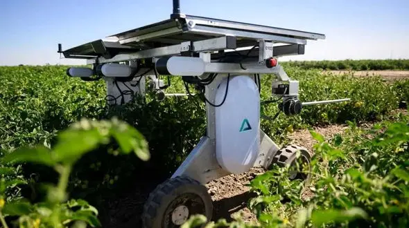 ببینید / پیشرفت علم رباتیک: جایگزینی ربات‌ های هوشمند به جای کارگران مزرعه