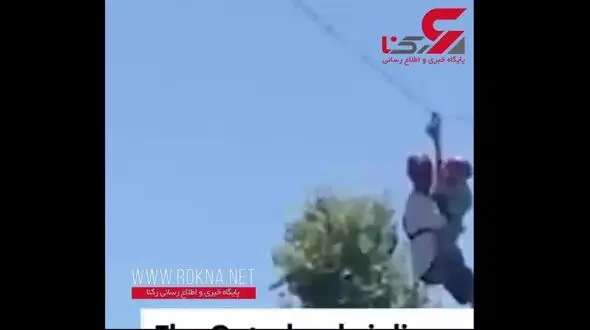 تمساح ها صف ایستادند تا پدر و پسر را بخورند! + تصویر
