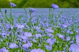 معرفی دو جای دیدنی