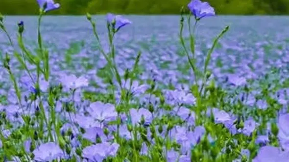 معرفی دو جای دیدنی