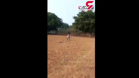 اقدام وحشتناک مرد مست با مار کبری+ فیلم