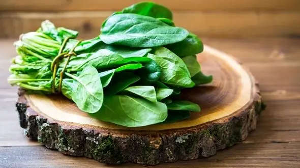 این سبزی معطر بینایی تان را ضمانت می کند