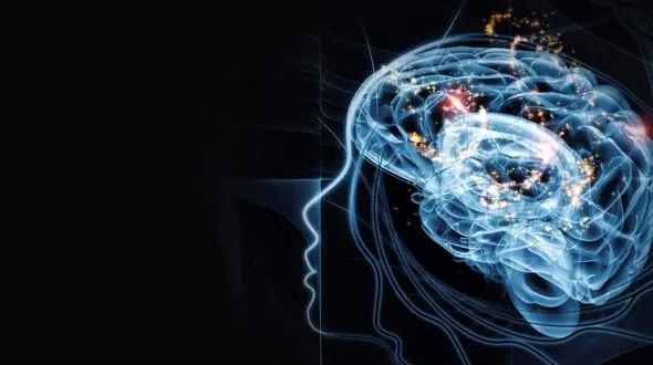 سفر در تیمارستان ها، نمایی از آینده دنیا !