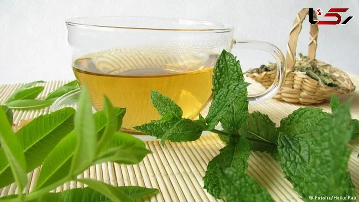رژیم غذایی که از بیمار شدن نجات تان می دهد