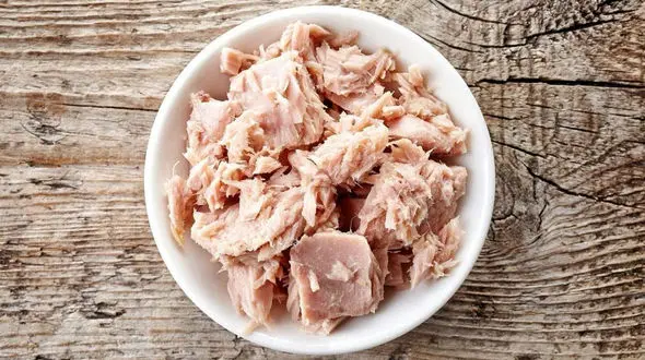 قیمت کنسرو ماهی / تن ماهی از خود ماهی گران‌ تر شد